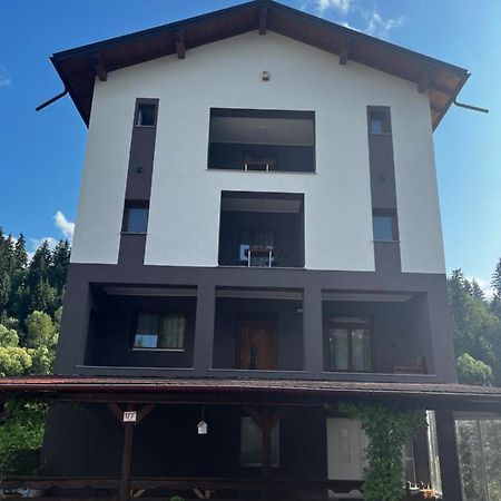 Cazare Luxandra Borşa 外观 照片