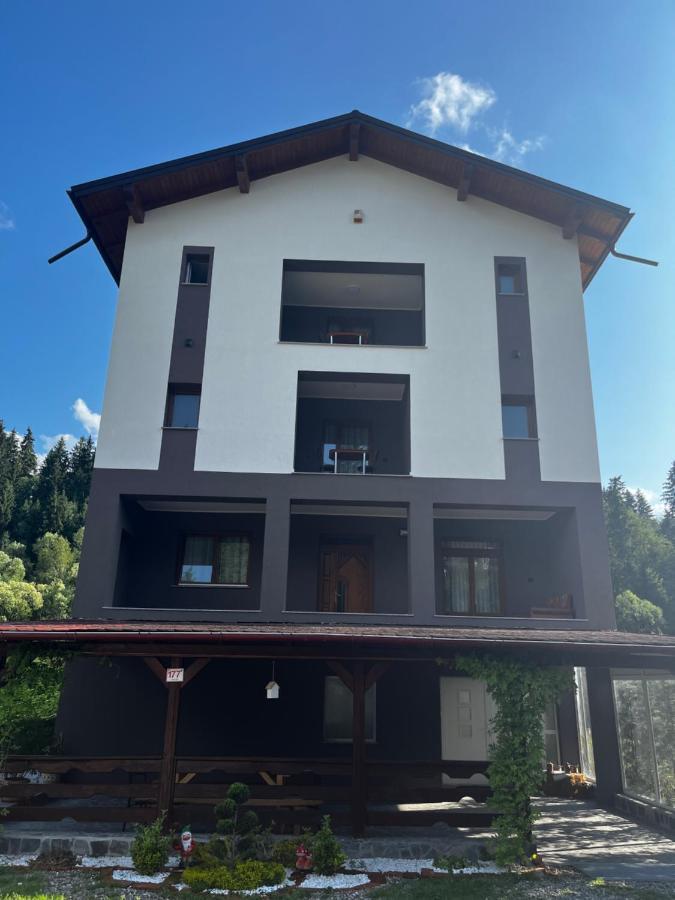 Cazare Luxandra Borşa 外观 照片